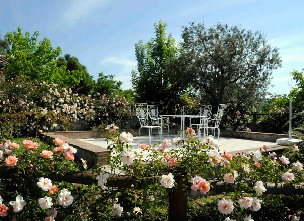 Outdoor Table with Roses