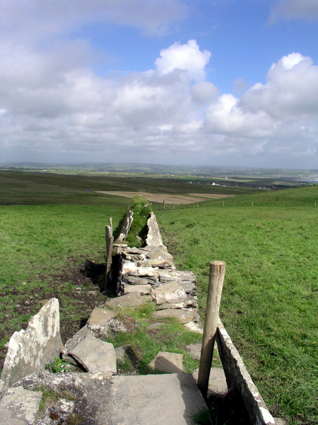 County Clare fence
