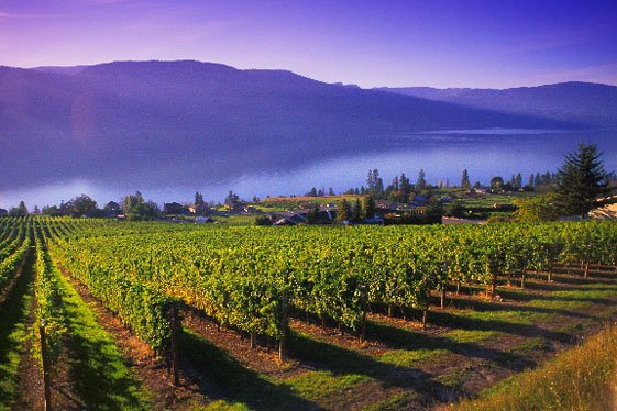 British Columbia wine tours