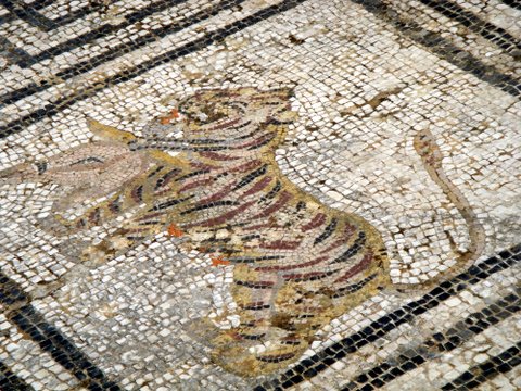 Mosaic tile floor--tiger with pheasant