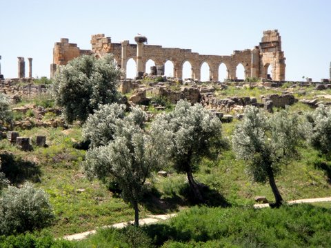 Basilica ruins, Volubilis